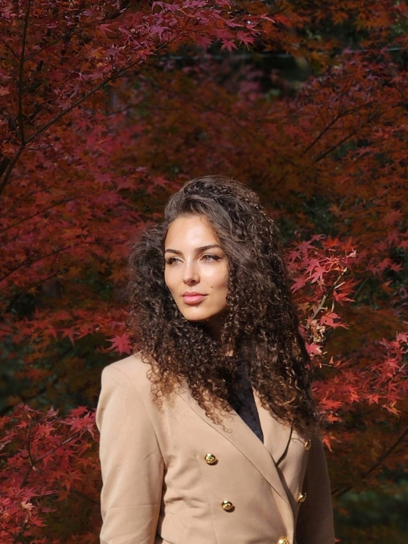 Amira
