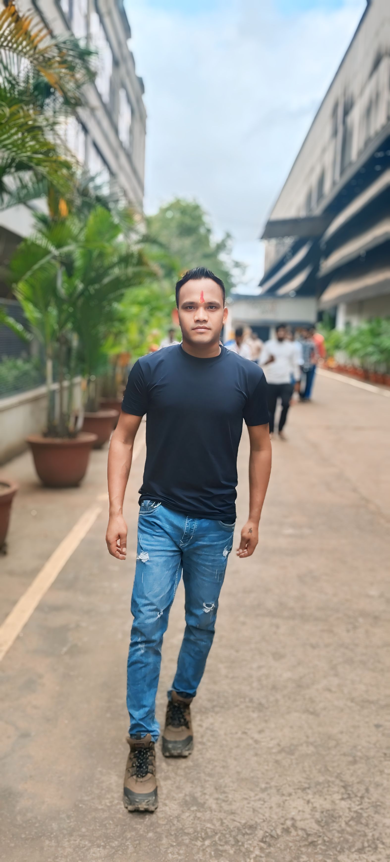 portfolio