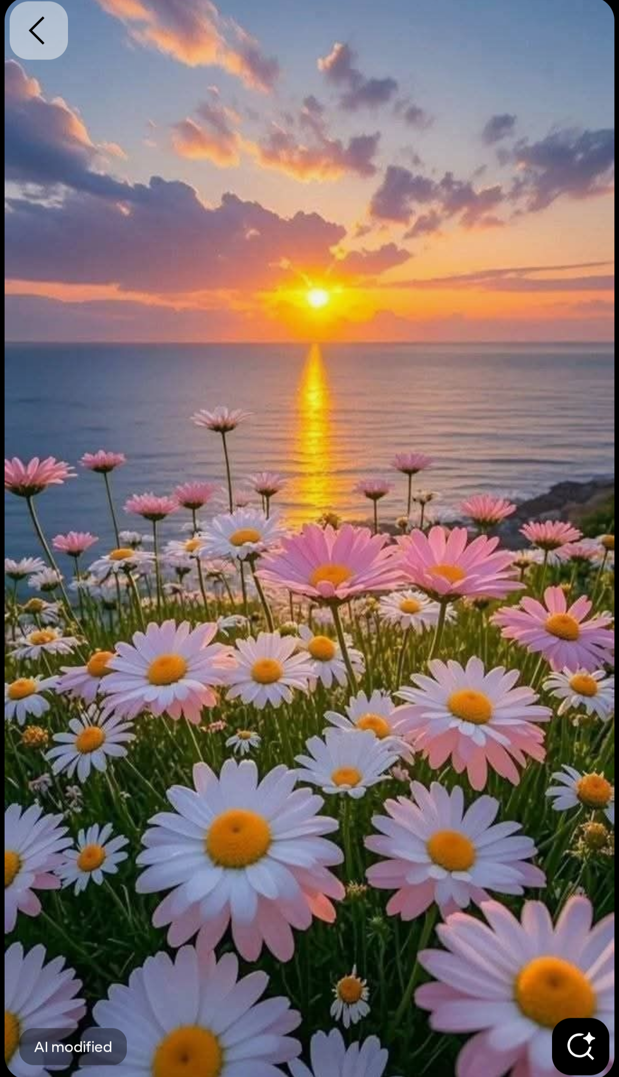 Chandni Sharma gurnani  - portfolio