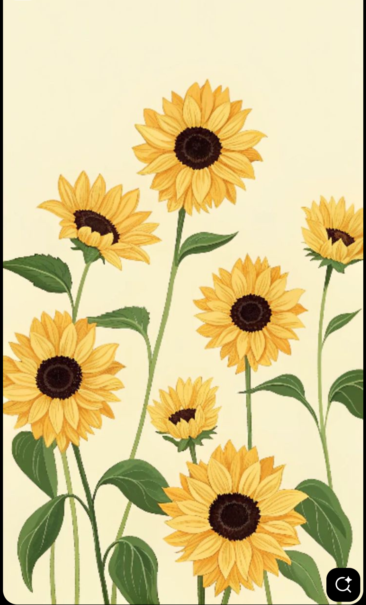 Chandni Sharma gurnani  - portfolio