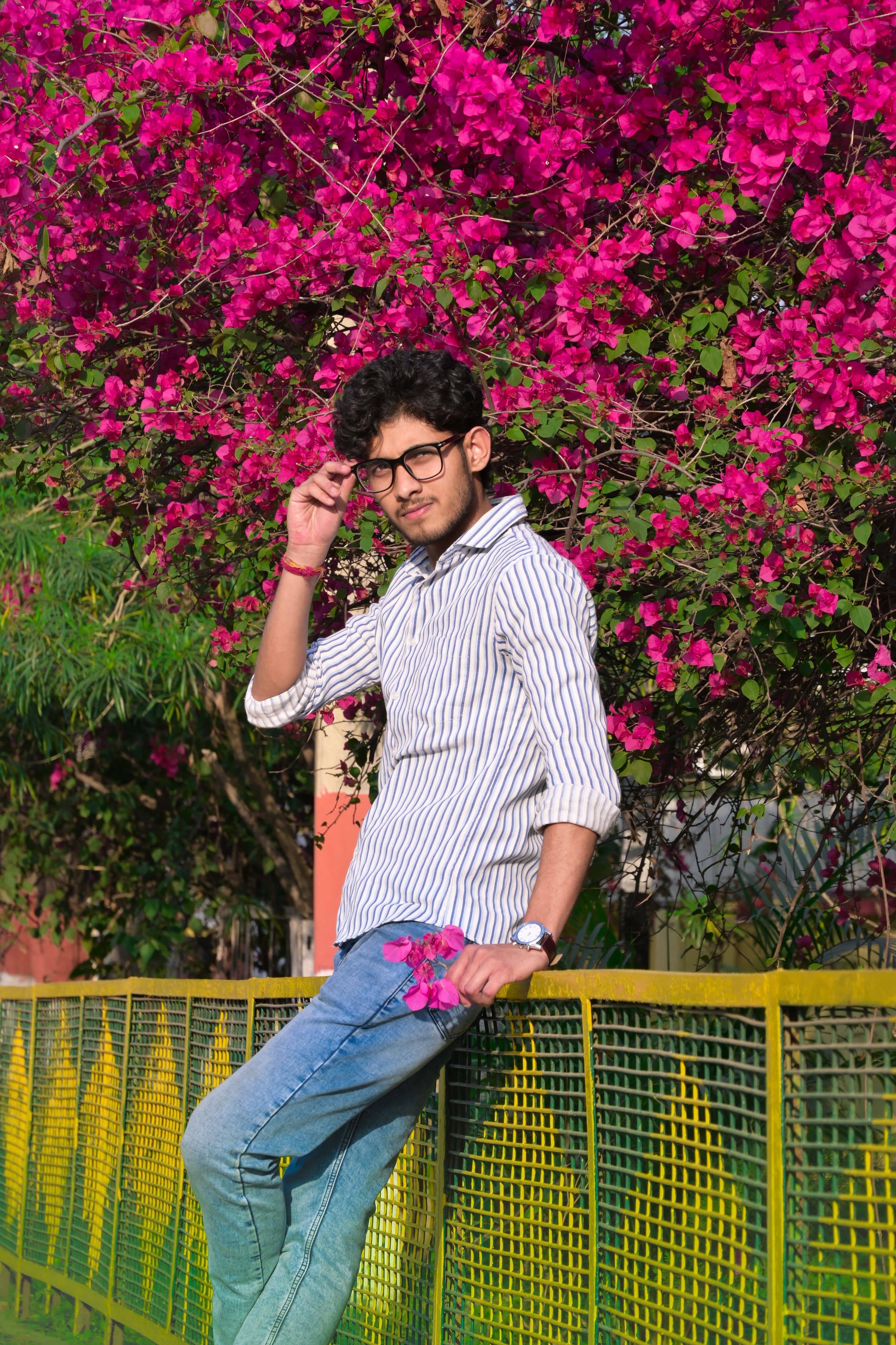 Pradeep Chakraborty - portrait