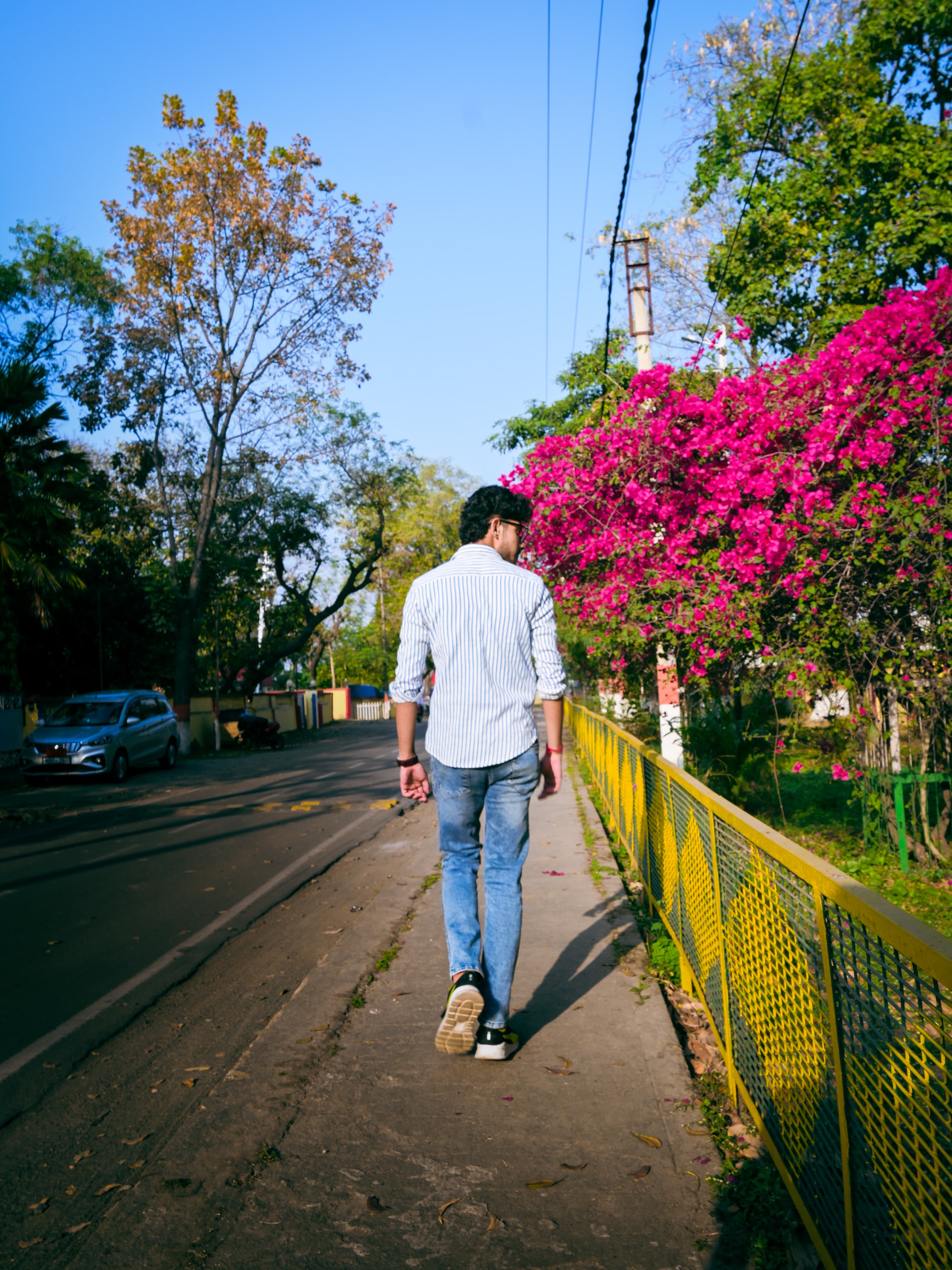 Pradeep Chakraborty - portfolio