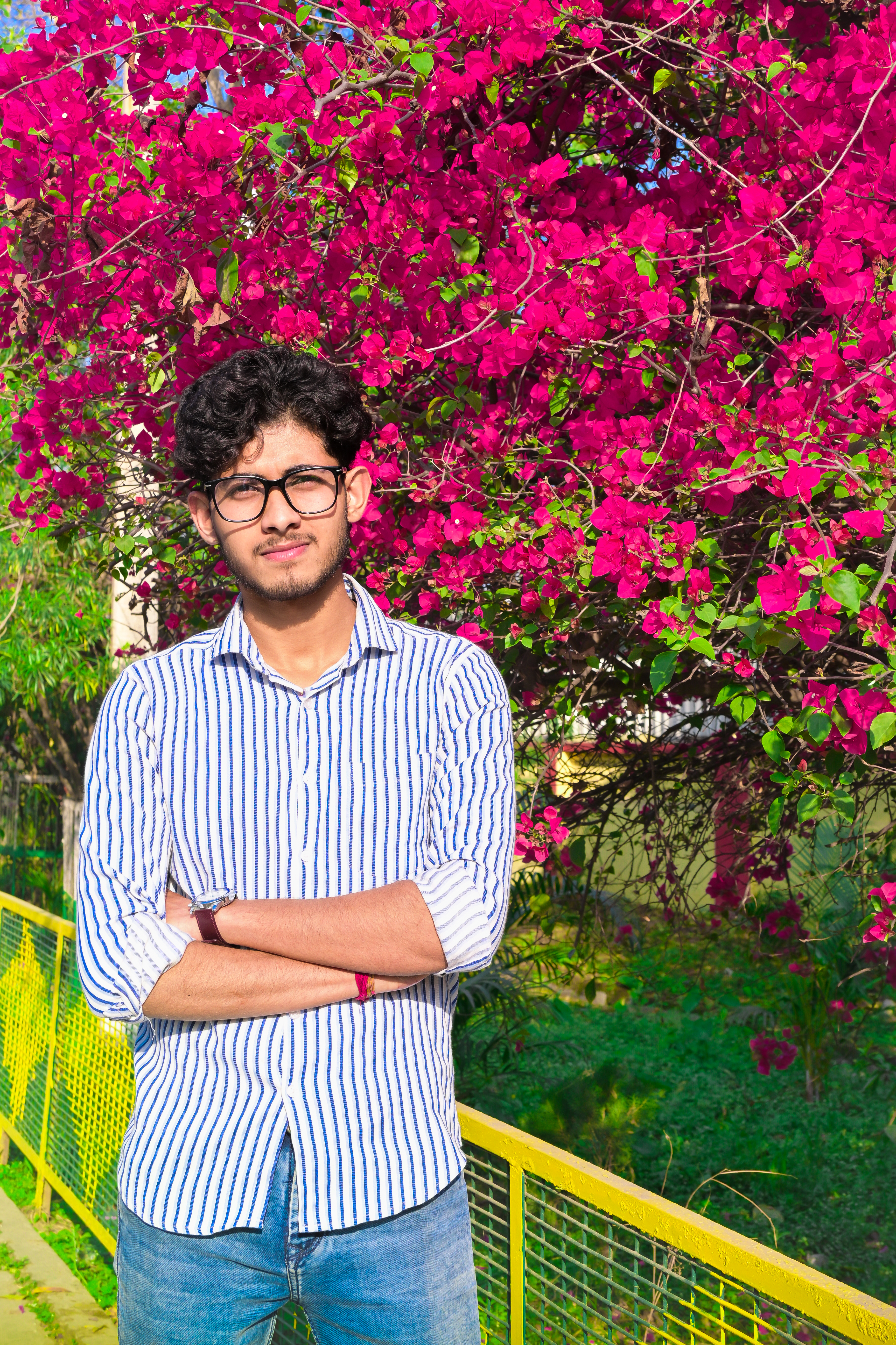 Pradeep Chakraborty - portfolio
